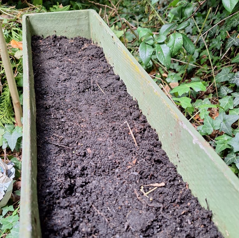 a well prepared soil for planting herb seeds