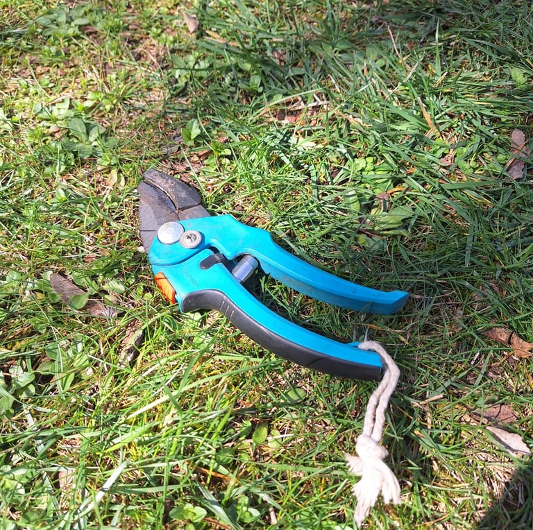 a pruning shear for trimming hanging garden plants