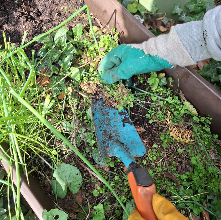 a person that is removing weeds out of a garden bed