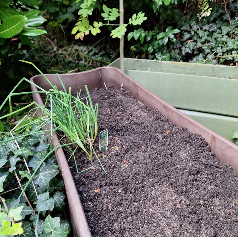 much brown dirt in a planter