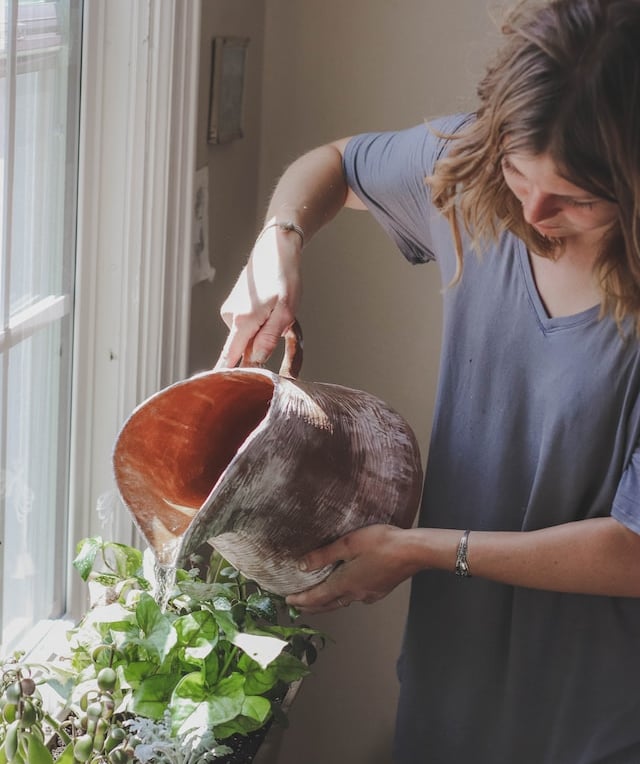 a person watering multiple herbs and plants