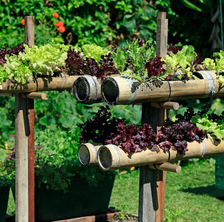 a vertical garden with multiple vegetables