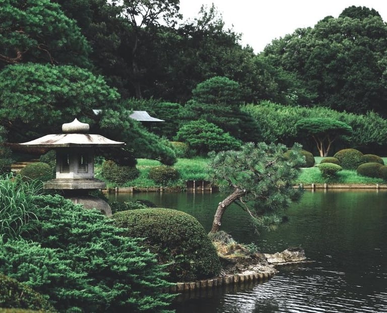 a Japanese garden with low maintenance plants