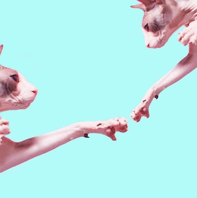 from series CLEO, 2014