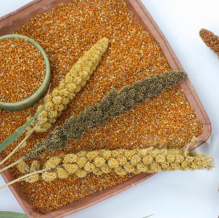 a tray of dried wheat and a bowl of cereal from village millets