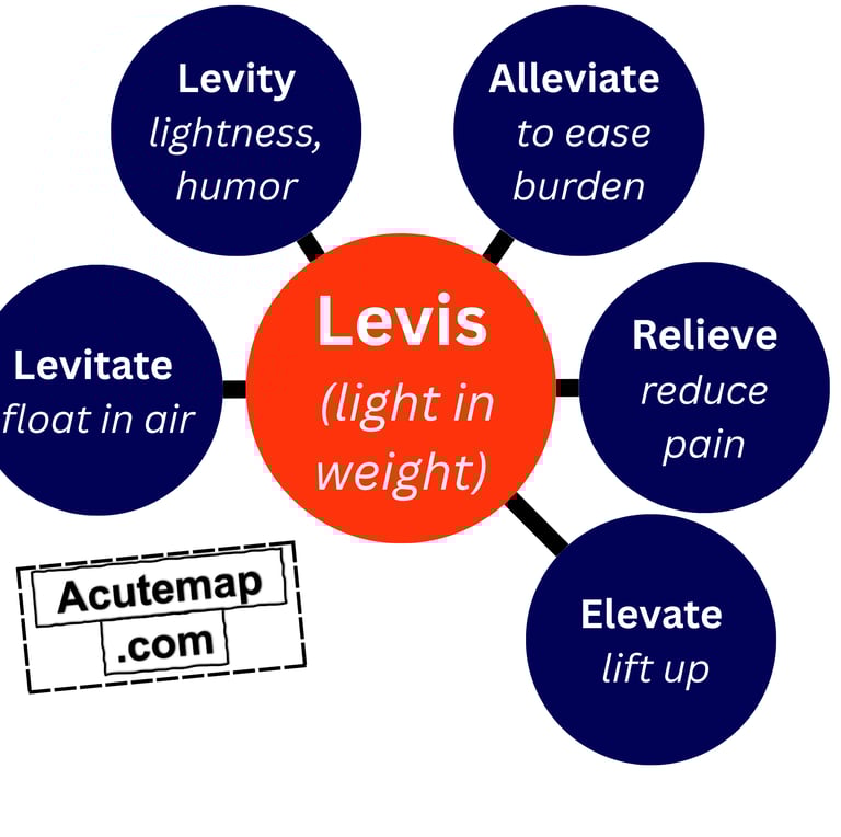 Levis root word chart, Vocabuolary for SSC UPSC
