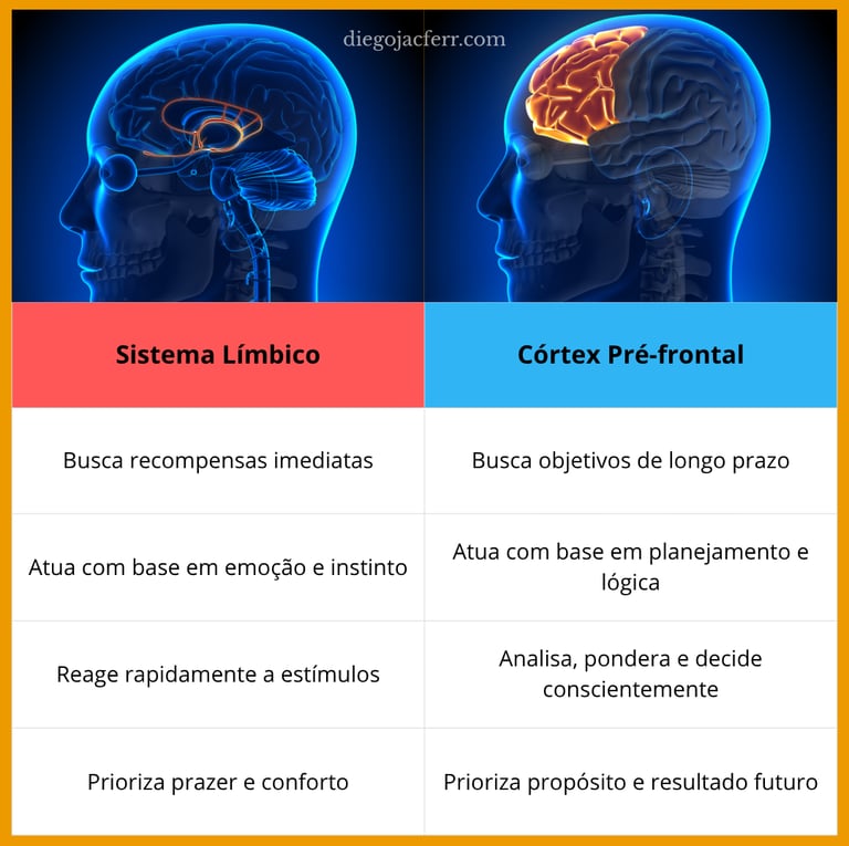 tabela sistema límbico e córtex pré frontal - razão e emoção