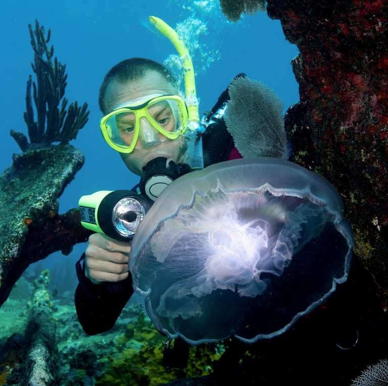 Scuba diving