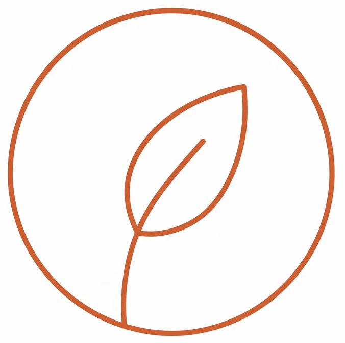 Esplora le Ricette Vegetariane