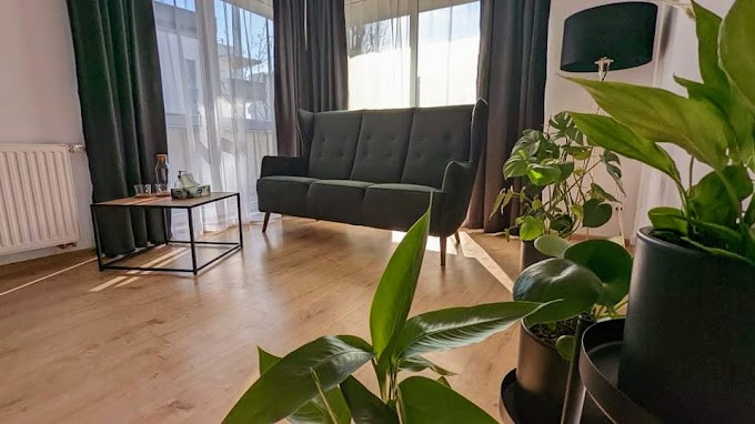 psycholog seksuolog psychoterapeuta
