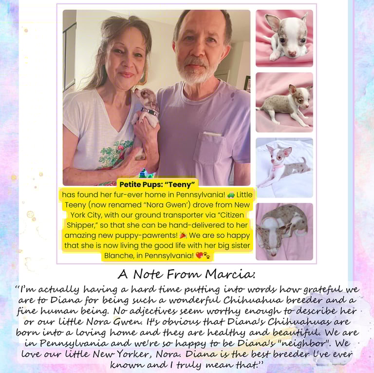 Past “Petite Pups” Puppies With Their New Owners + 5 Star Customer Reviews!