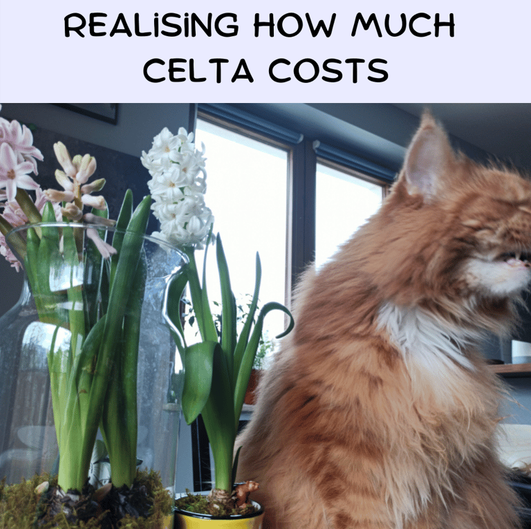 CELTA online blog