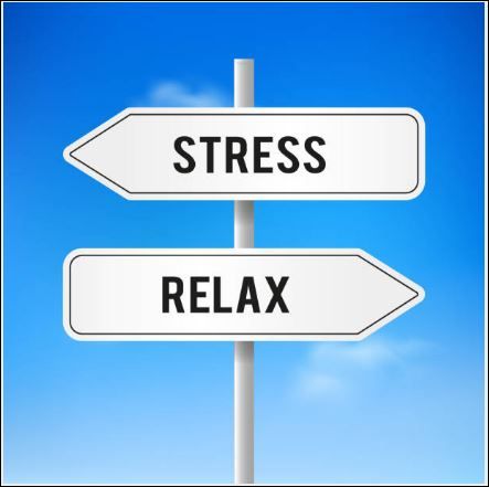 Directional signpost with arrows pointing to Stress and Relax against a clear blue sky.