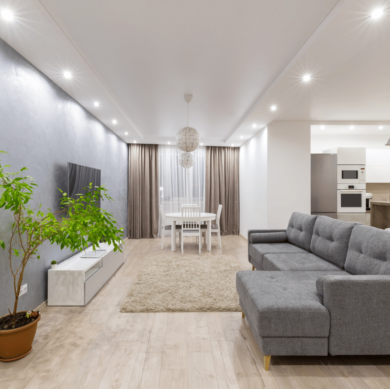 a living room with a couch and a potted plant