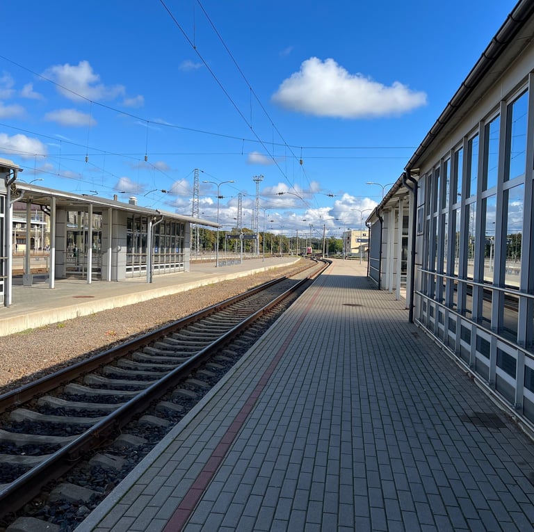GELEŽINKELIŲ TRANSPORTO SAUGOS VALDYMAS