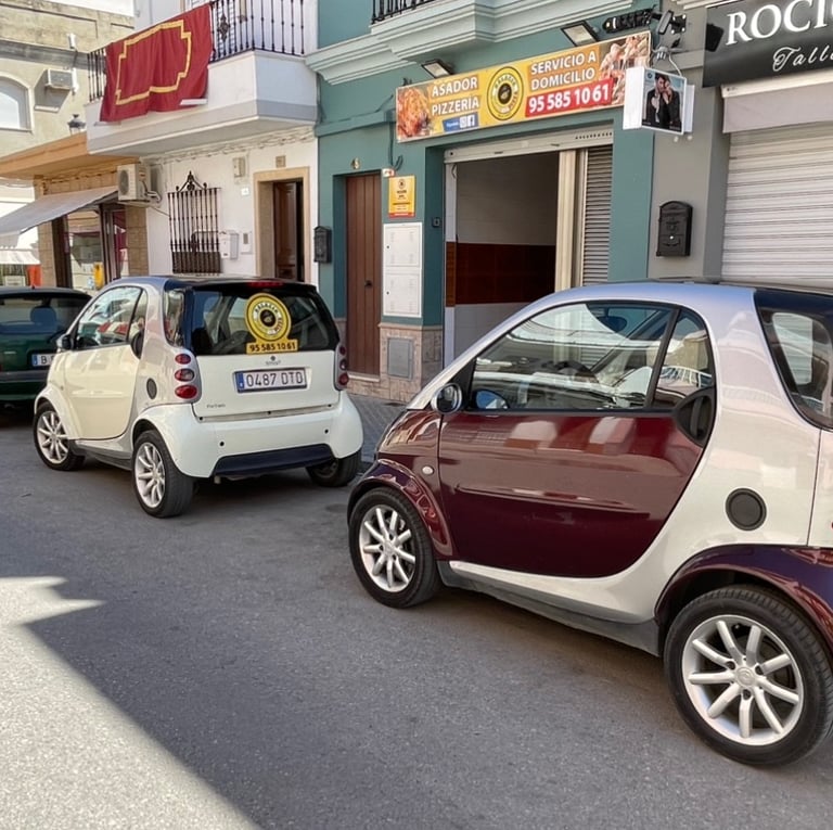 REPARTO A DOMICILIO DEL PALACIO DEL POLLO Y LA PIZZA