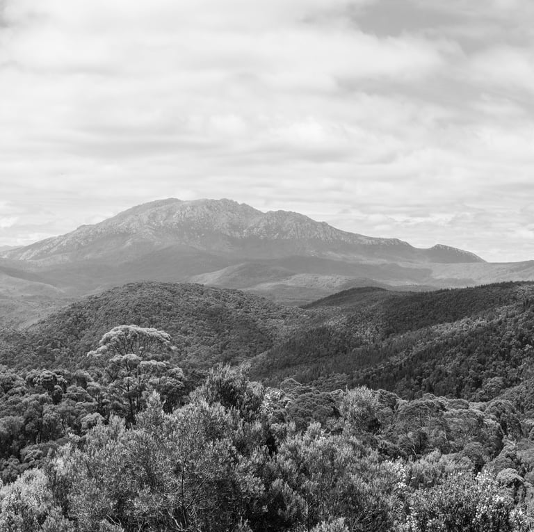 Tasmanian Wilderness DLC Spatial Surveying
