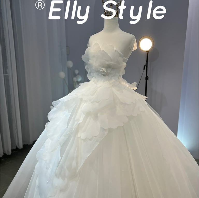 Bride and Bridesmaids Dresses