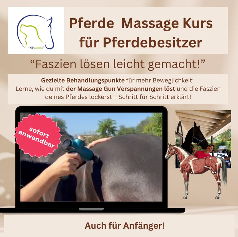 Faszien lösen leicht gemacht Pferd