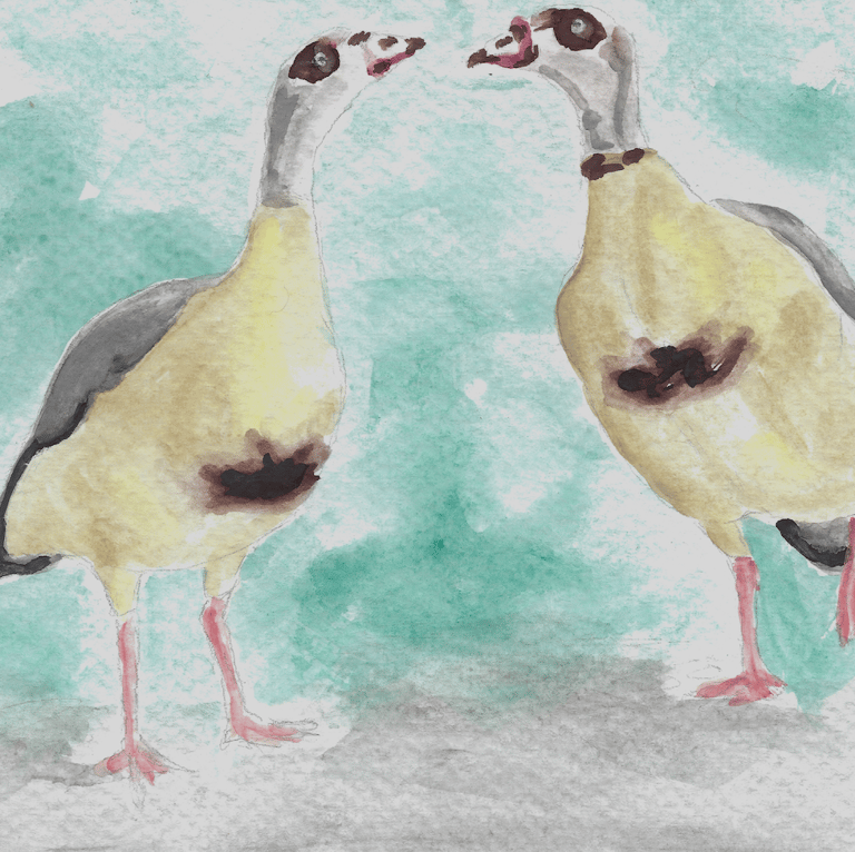 watercolor painting of two geese