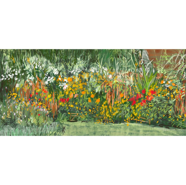 Solar bed Autumn 2025 Great Dixter - digital drawing