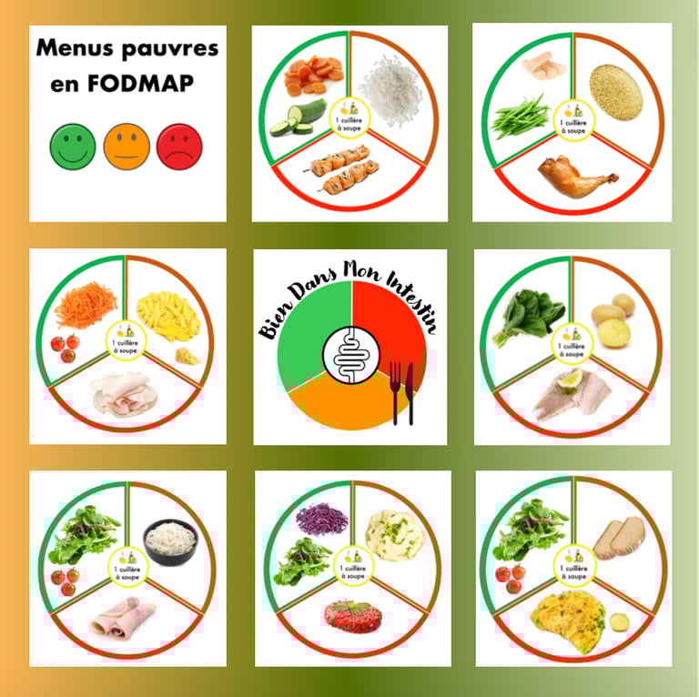 exemples de menus pauvres en FODMAP : assiettes digestes validées par Monash University