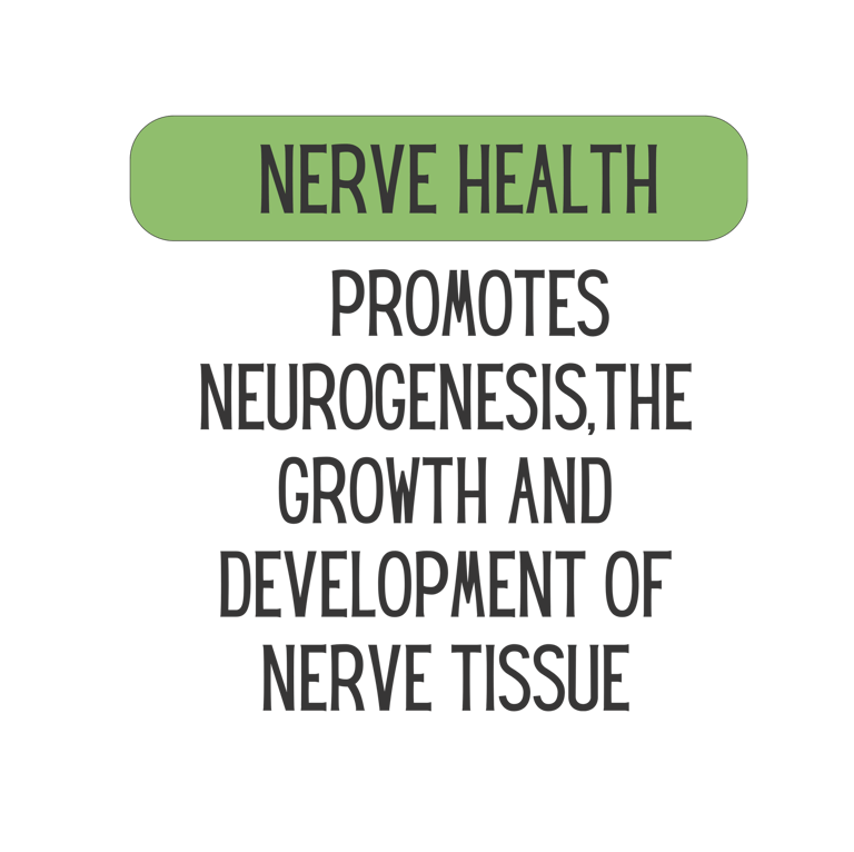 Mane Brain™ offers premium mushroom-based wellness products designed to support focus, memory,.