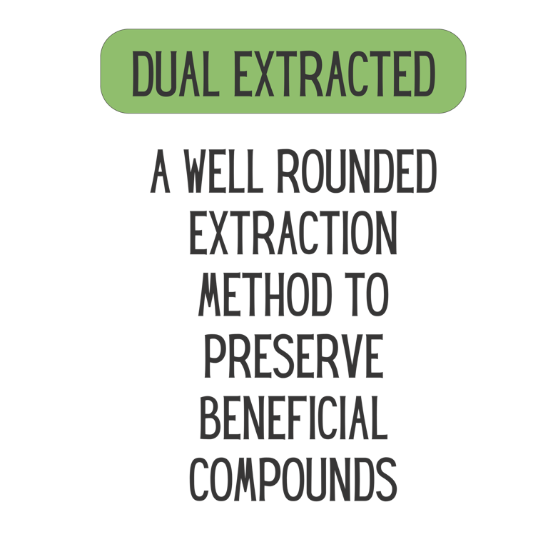 Mane Brain™ offers premium mushroom-based wellness products designed to support focus, memory,.