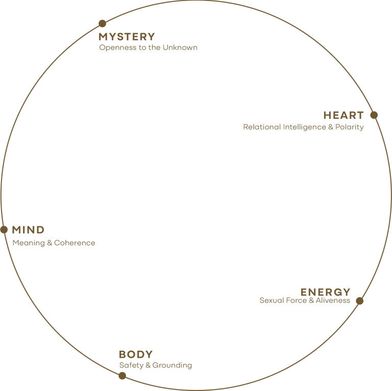 5 dimensions of the work sacra pulse