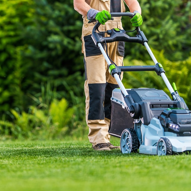 Wir sind da, wenn Ihre Pflanzen uns brauchen Auch der Garten prägt das äußere Erscheinungsbild Ihre