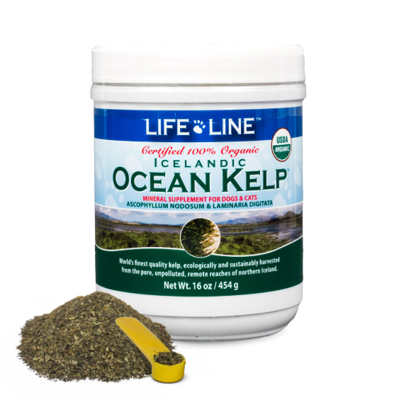 Life Line Pet Nutrition non-toxic USDA organic Icelandic ocean kelp dental powder for dogs.