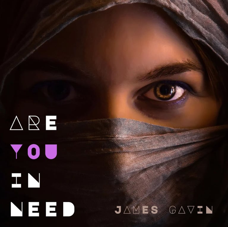 Are You in Need - Single
