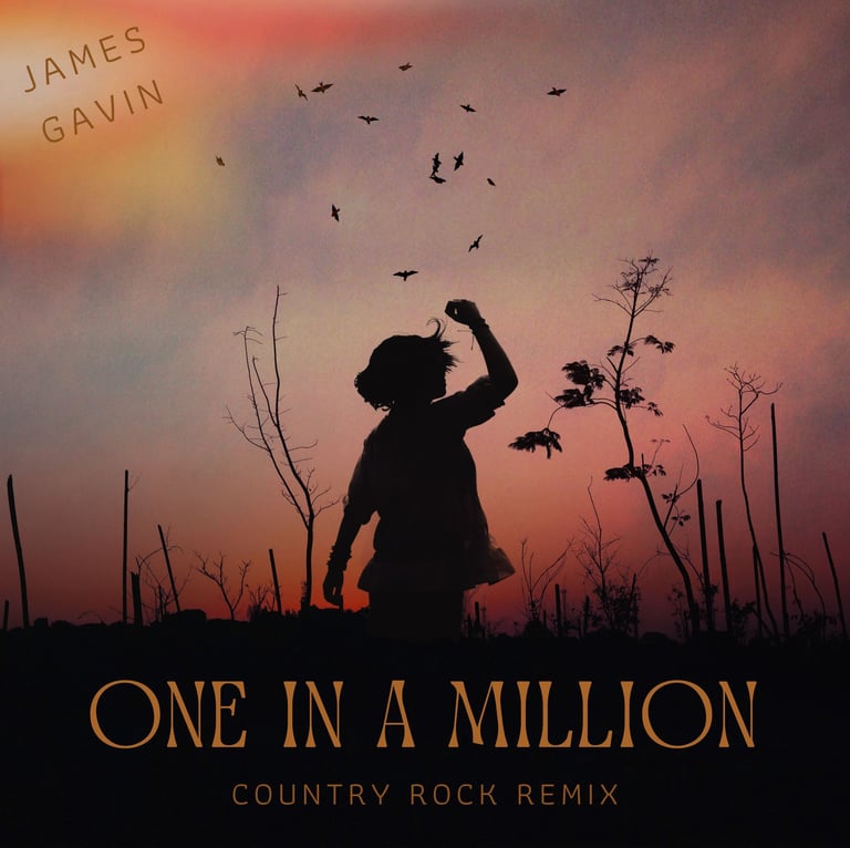 One in a Million (Country Rock Remix) - Single
