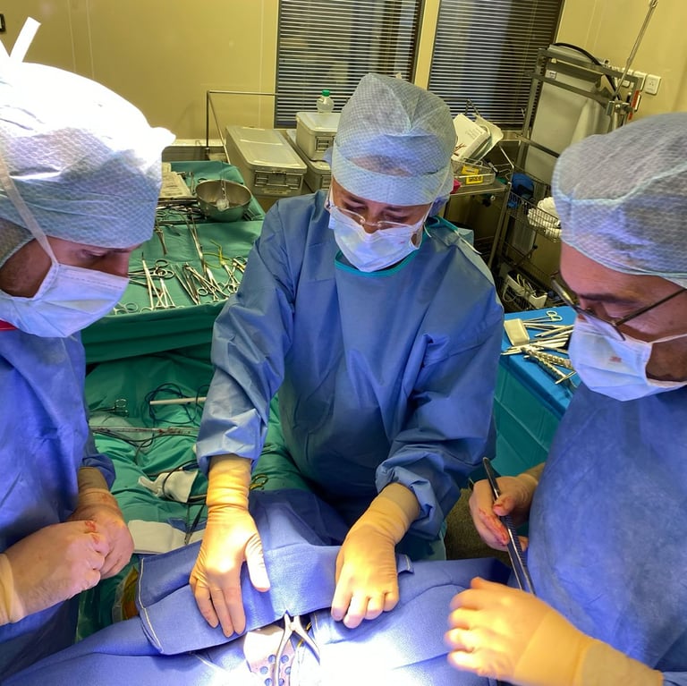 L'équipe de Chirurgie Vasculaire Marseille