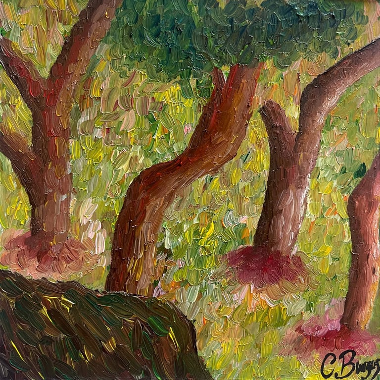 Cuadro Bosque
