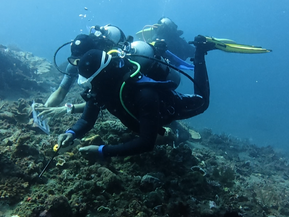 Reef Check Fish ID