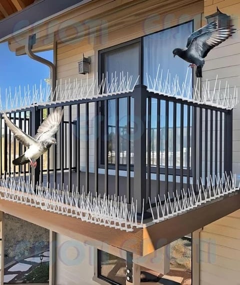 Balcony bird spikes prevent pigeons and birds from perching, keeping your balcony clean, safe, and f