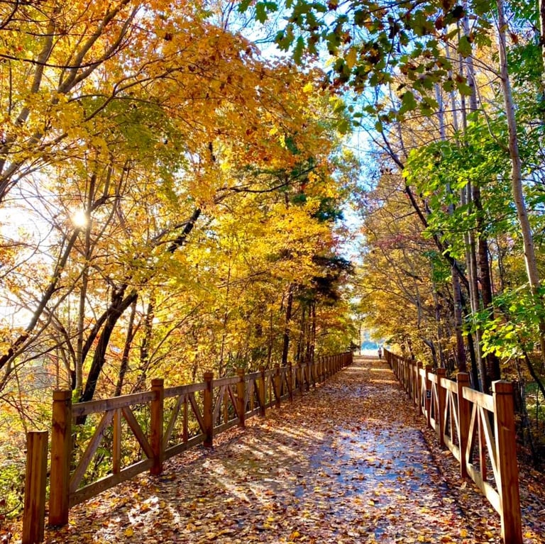 Thermal Belt Rail Trail