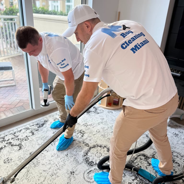 carpet cleaning miami