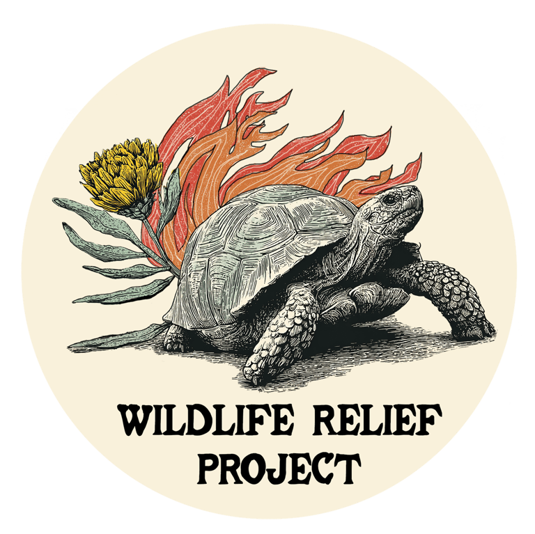 wildlife relief project logo with tortoise escaping flames and a protea flower