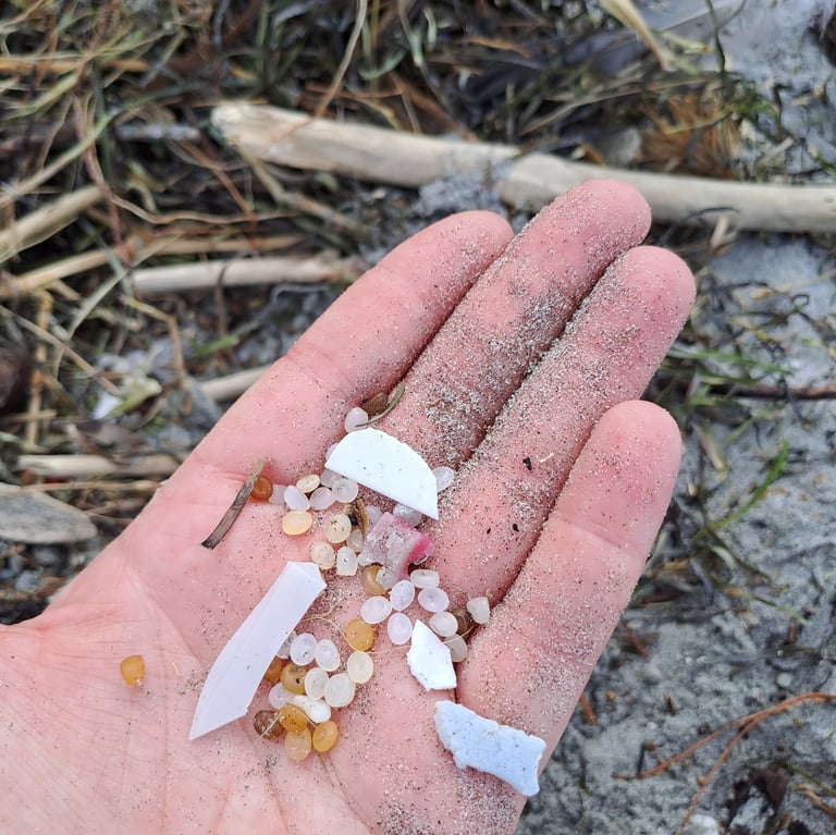 Sandy hand holding plastic nurdles and broken pieces of plastic collected on a beach. Background shows debris at high tide