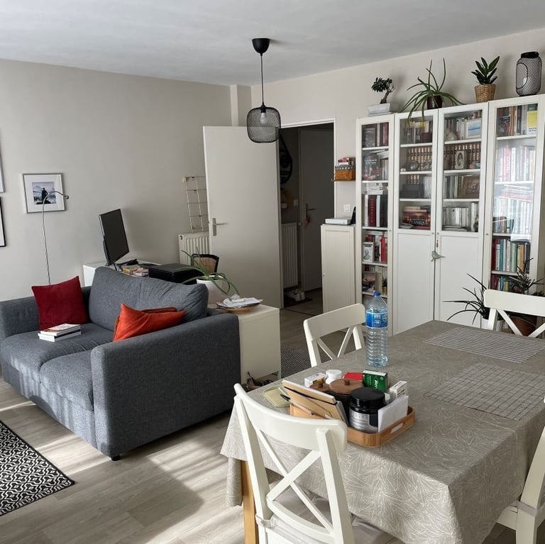 Projet Opaline avant 