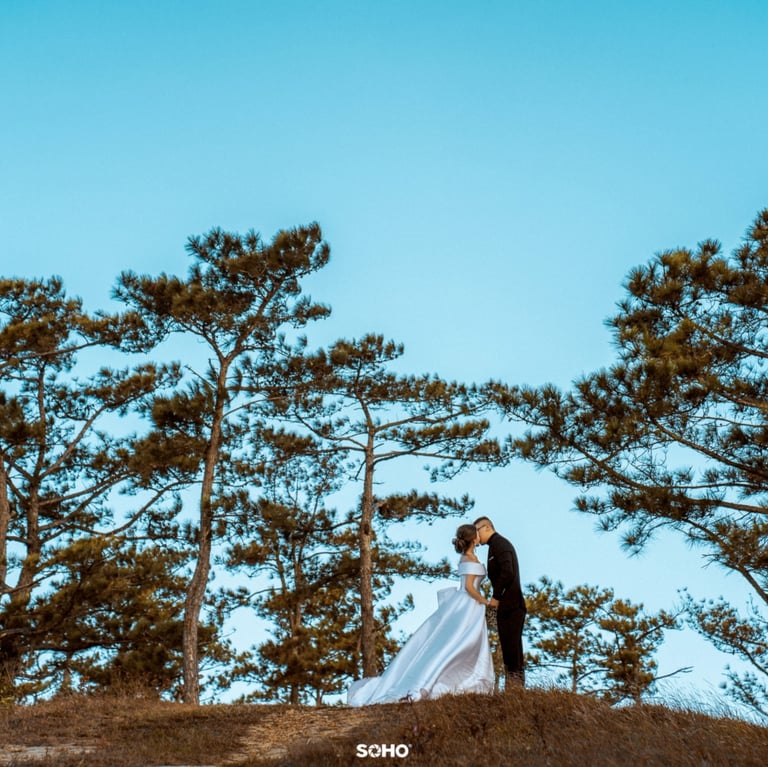 a bride and groom standing on a hill top
