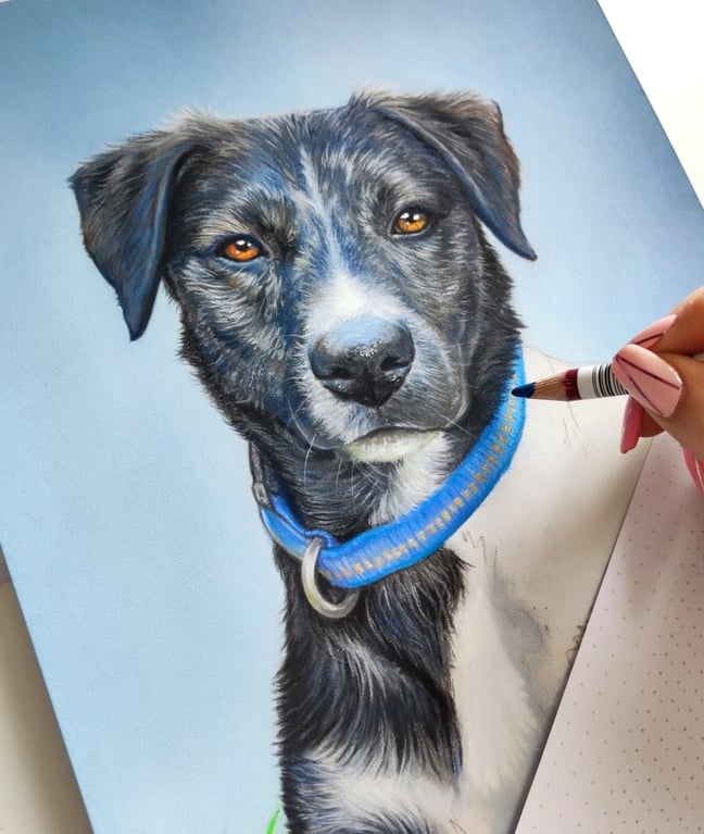 a drawing being created of a dog