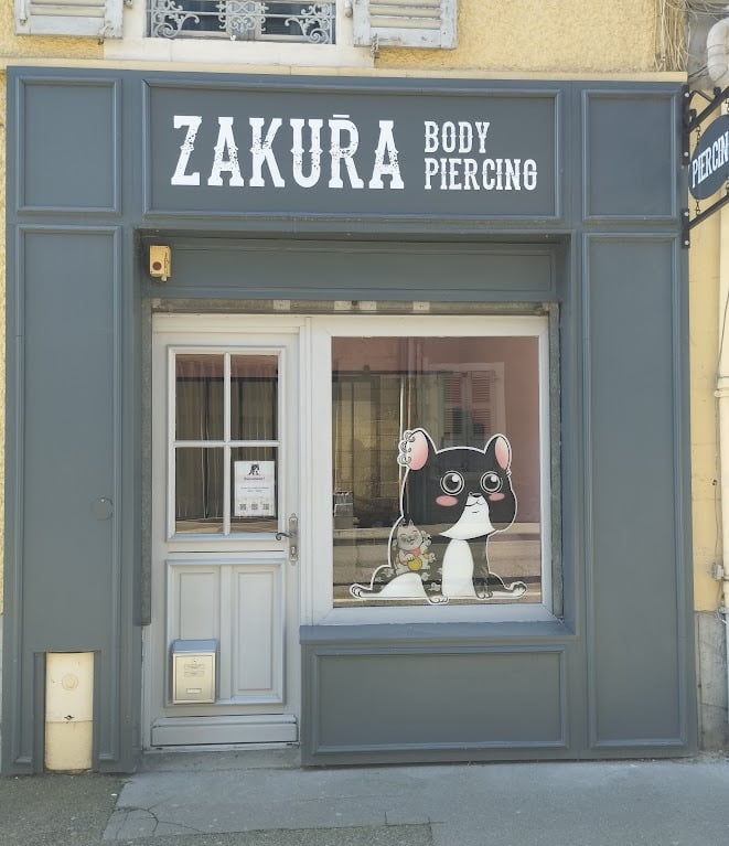 salon de piercings zakura body piercing pau rue montpensier