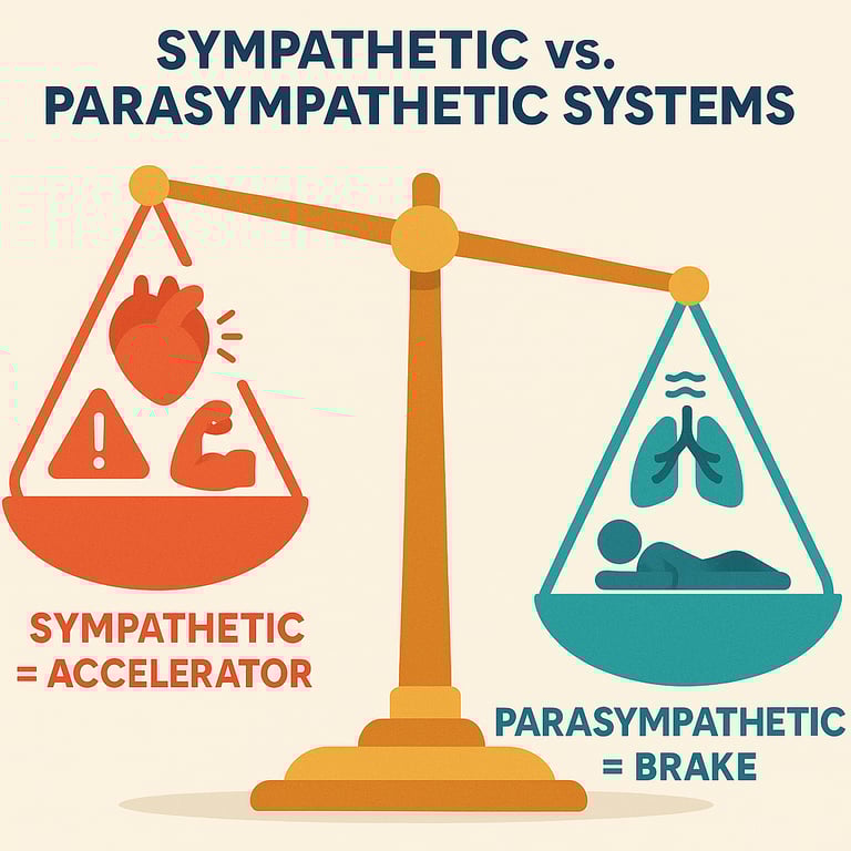 Diagram illustrating the imbalance between sympathetic and parasympathetic nervous systems in PE