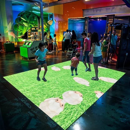Interactive Floor Projection System