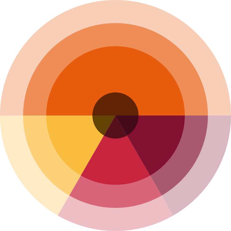Wheel showing the four brand colours
