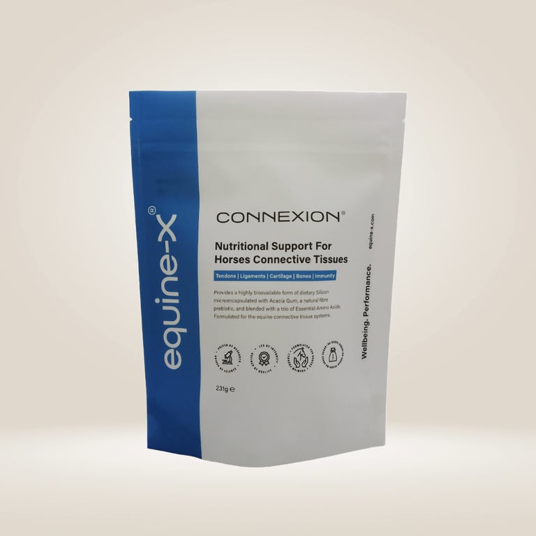 a pouch of connexion horse supplement for tendons