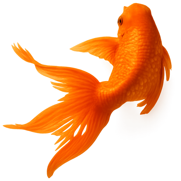 A fish named Fred